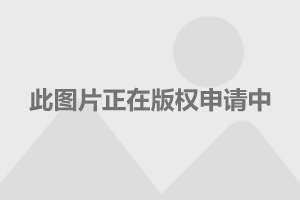 {賭波}(保时捷19年新款) {賭波}(保时捷19年新款)